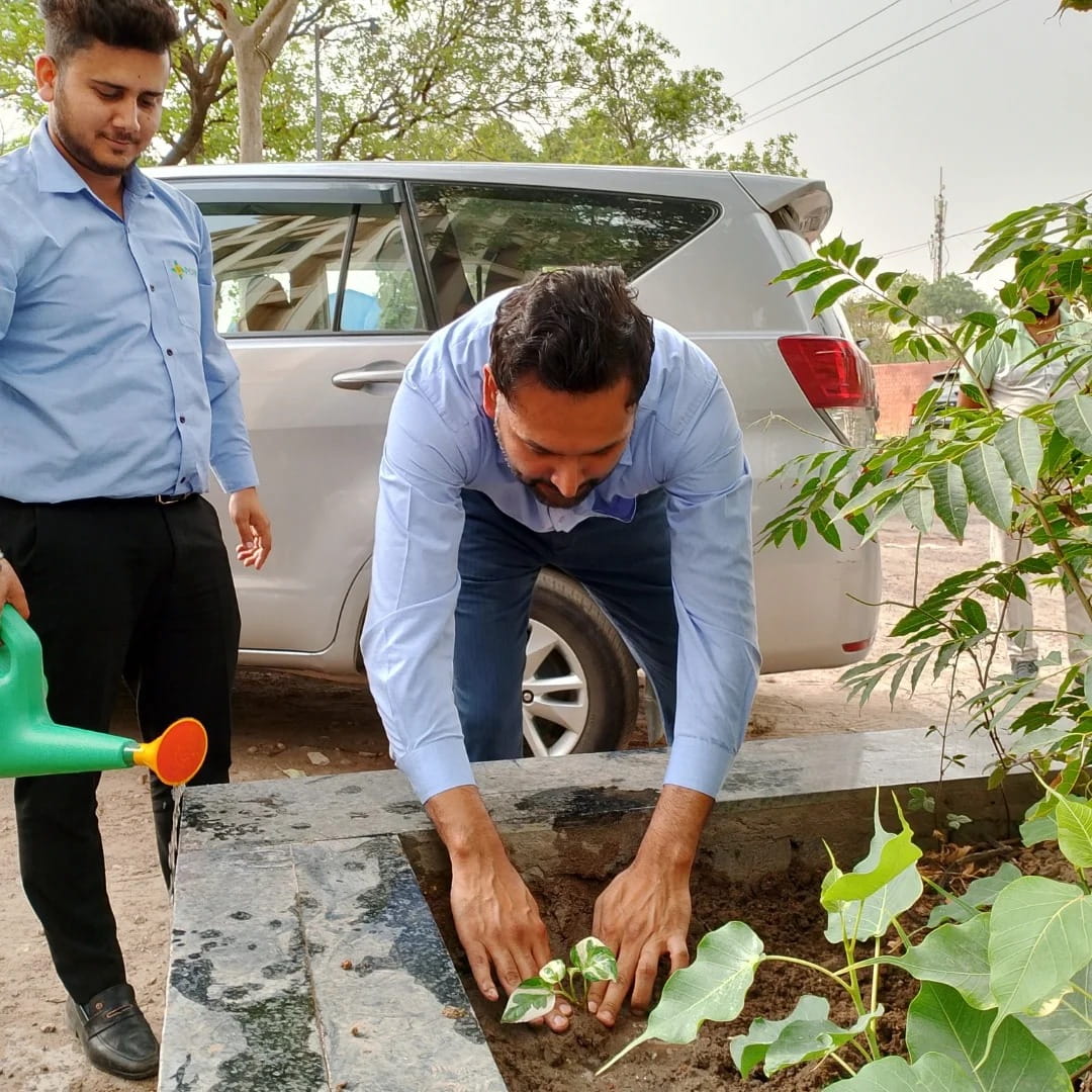 Celebrating Environment Day – Planting a Tree for a Greener Future at the Office!